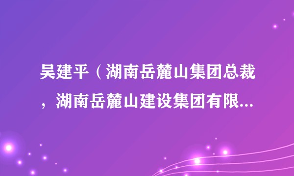 吴建平(湖南岳麓山集团总裁,湖南岳麓山建设集团有限公司党委书记、董事长)
