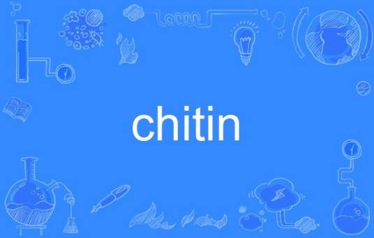 chitin