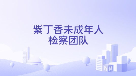 紫丁香未成年人检察团队