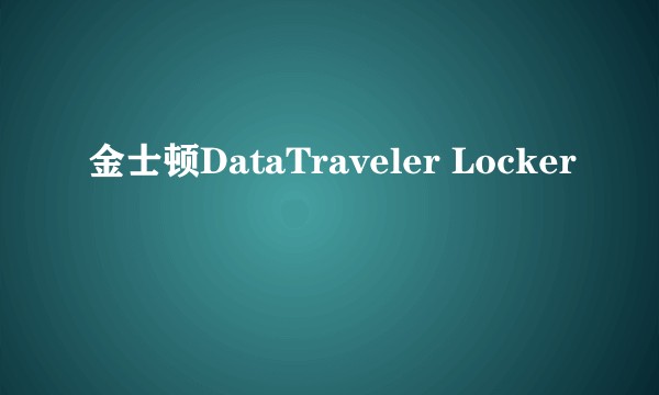 金士顿DataTraveler Locker