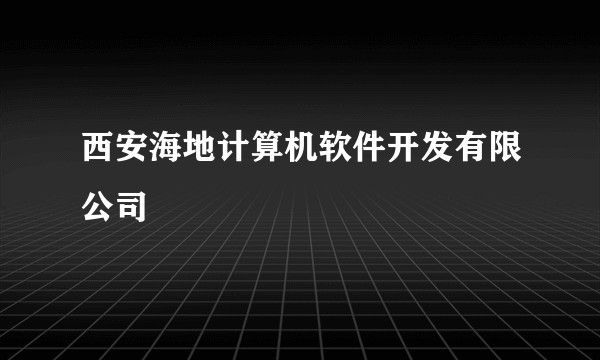 西安海地计算机软件开发有限公司