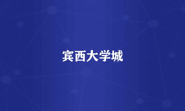 宾西大学城