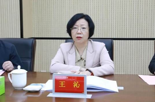 王沁（安徽省滁州市南谯区委常委、政法委书记、二级调研员）