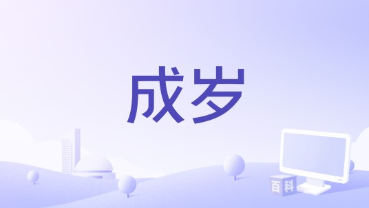 成岁（蔡翊昇演唱的歌曲）
