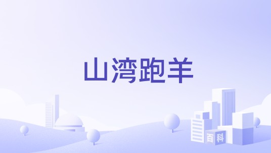 山湾跑羊