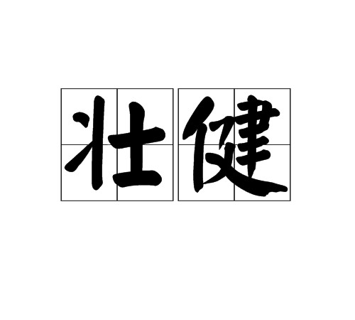 壮健