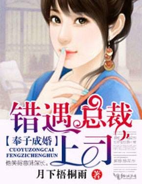 奉子成婚，错遇总裁上