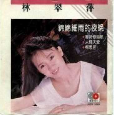 绵绵细雨的夜晚（林翠萍音乐专辑）