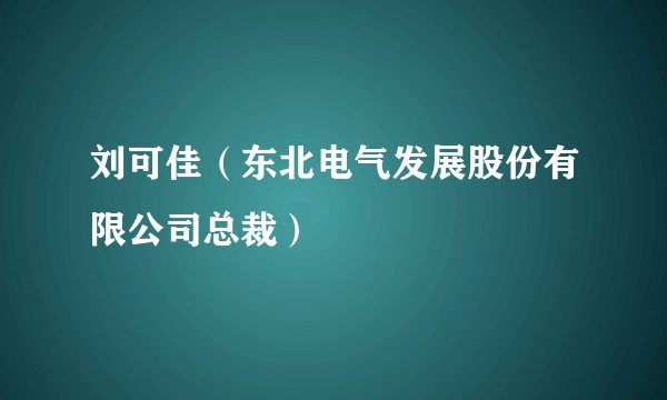 刘可佳（东北电气发展股份有限公司总裁）