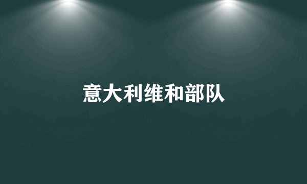 意大利维和部队