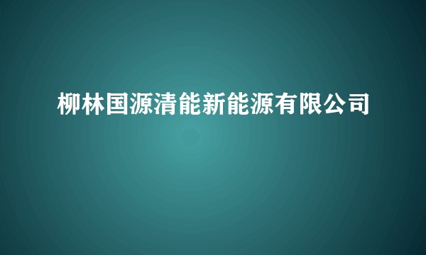 柳林国源清能新能源有限公司