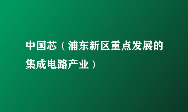 中国芯（浦东新区重点发展的集成电路产业）
