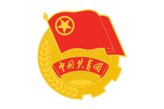 中国共产主义青年团第十九次全国代表大会代表