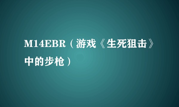 M14EBR(游戏《生死狙击》中的步枪)