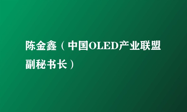 陈金鑫（中国OLED产业联盟副秘书长）