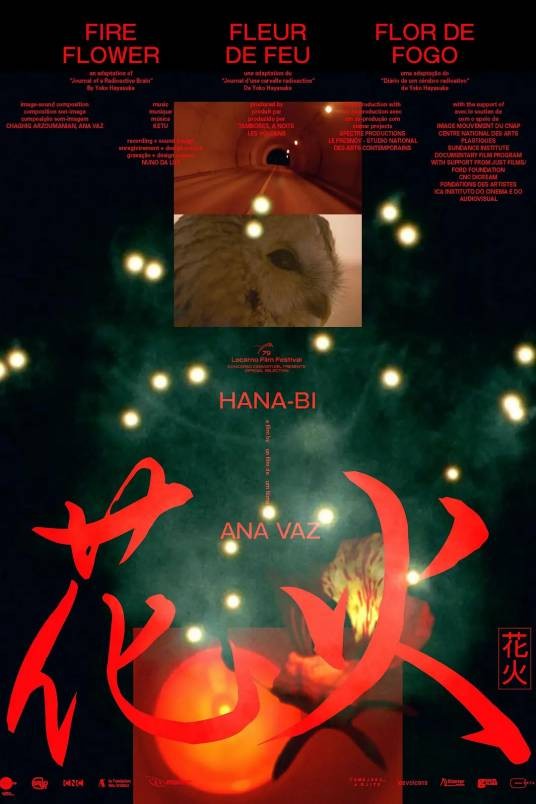 花火（2026年安娜·瓦斯执导的电影）