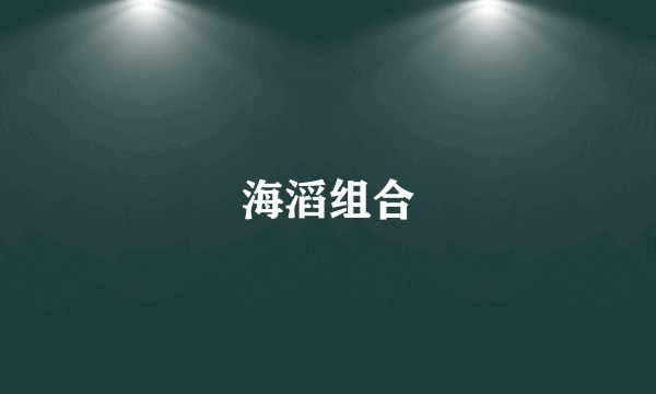 海滔组合