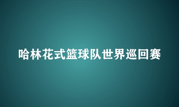 哈林花式篮球队世界巡回赛