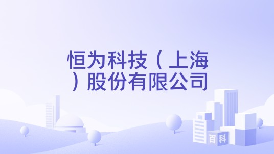 恒为科技（上海）股份有限公司
