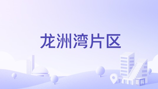 龙洲湾片区