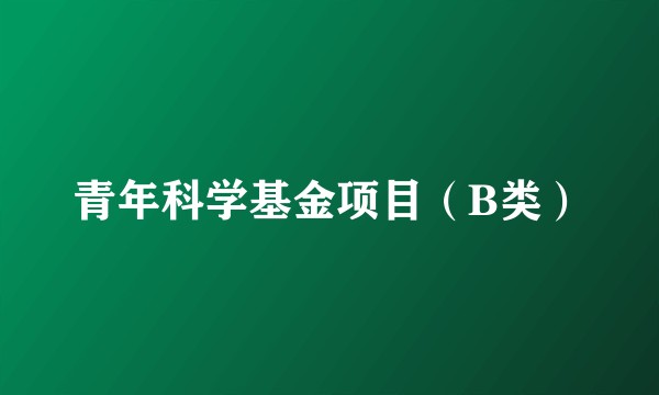 青年科学基金项目（B类）