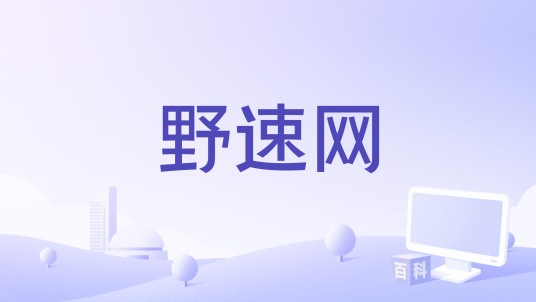野速网