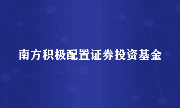 南方积极配置证券投资基金