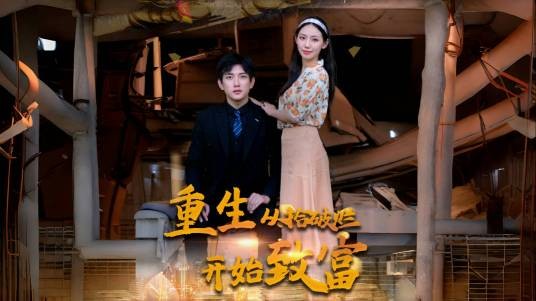 重生从拾破烂开始致富