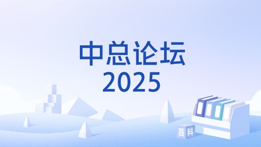 中总论坛2025