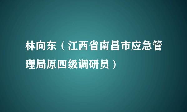 林向东(江西省南昌市应急管理局原四级调研员)