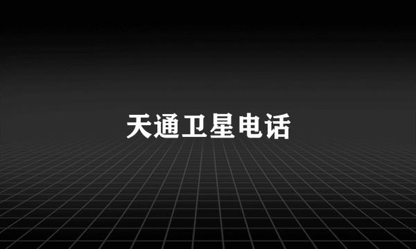 天通卫星电话
