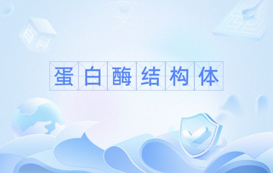 蛋白酶结构体