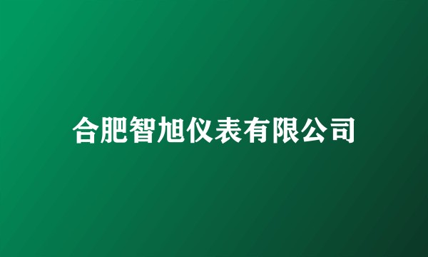 合肥智旭仪表有限公司