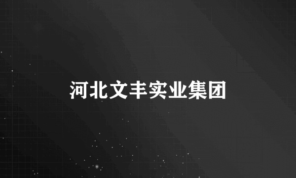 河北文丰实业集团