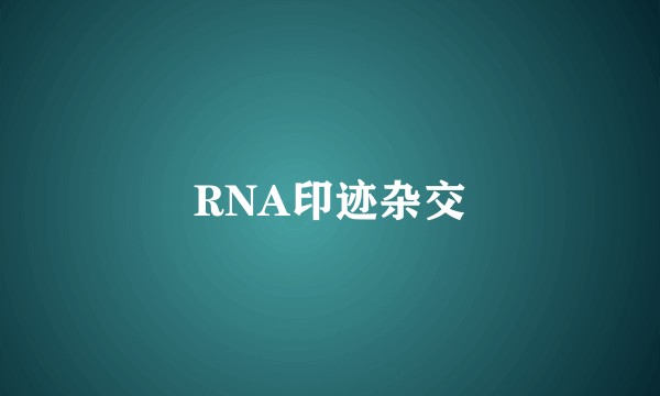 RNA印迹杂交