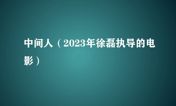 中间人（2023年徐磊执导的电影）