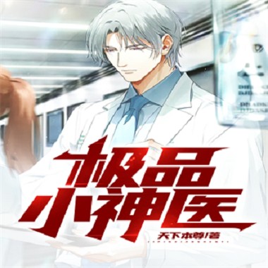 极品小神医（天下本尊所著小说）