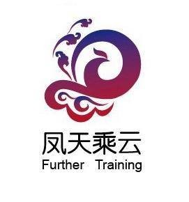 凤天乘云