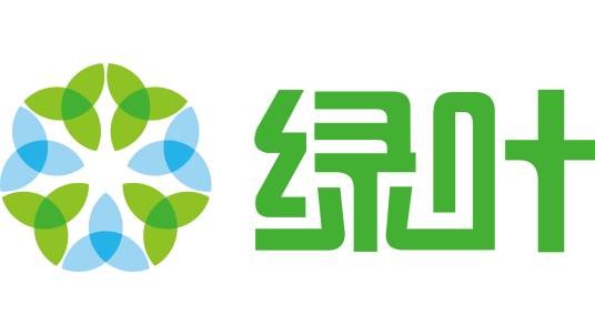 绿叶科技集团有限公司