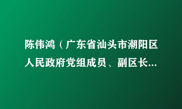 陈伟鸿（广东省汕头市潮阳区人民政府党组成员、副区长，汕头市公安局潮阳分局局长）