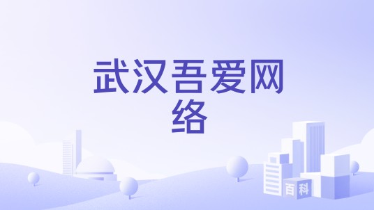 武汉吾爱网络
