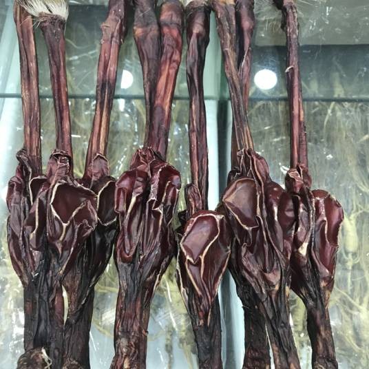 西丰鹿鞭