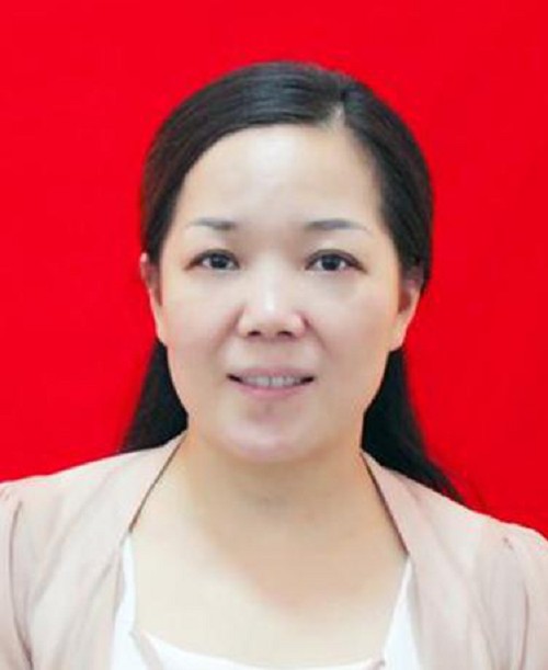 张婷（安徽安庆市宜秀区委常委、区政府党组成员）