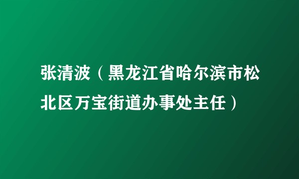 张清波(黑龙江省哈尔滨市松北区万宝街道办事处主任)