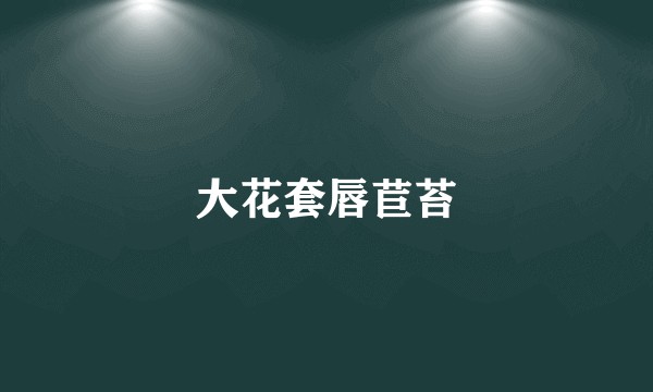 大花套唇苣苔