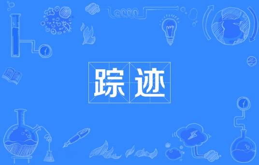 踪迹（汉语词汇）