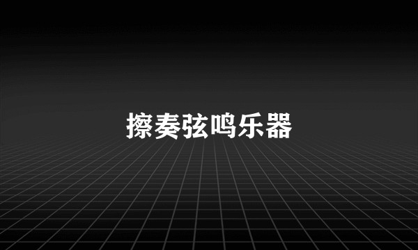 擦奏弦鸣乐器