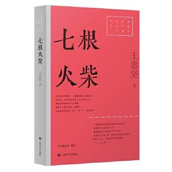 七根火柴（2025年上海文艺出版社出版的图书）
