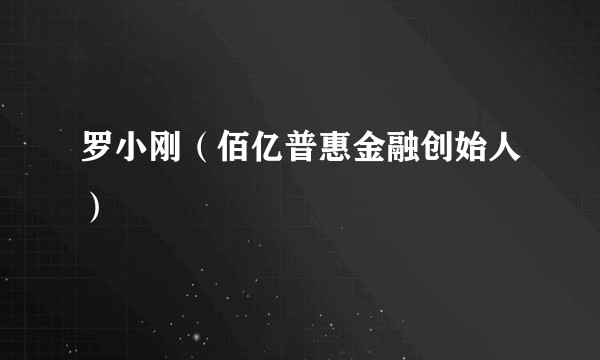 罗小刚（佰亿普惠金融创始人）