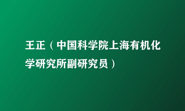 王正（中国科学院上海有机化学研究所副研究员）